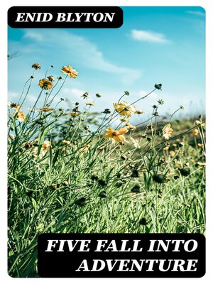 cover image of Five Fall into Adventure